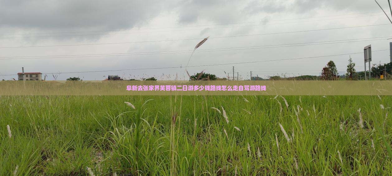 阜新去张家界芙蓉镇二日游