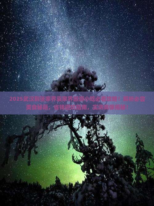 武汉到张家界袁家界旅游小吃