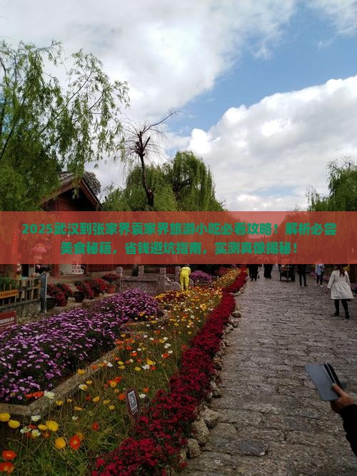 武汉到张家界袁家界旅游小吃