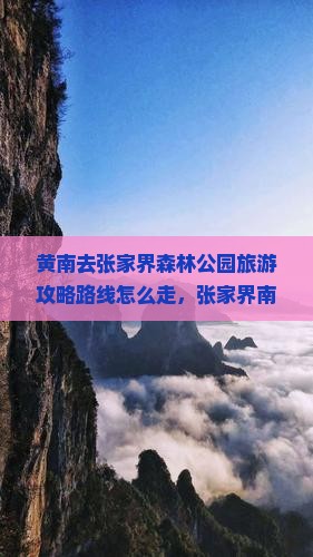 黄南去张家界森林公园旅游