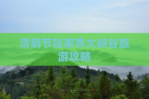 清明节去张家界大峡谷团体旅游