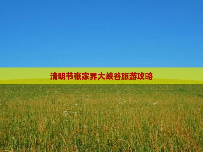 清明节去张家界大峡谷团体旅游