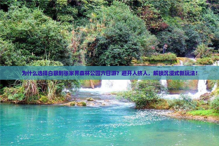 白银到张家界森林公园六日游