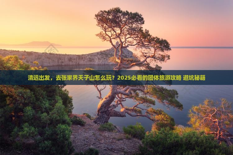 清远到张家界天子山团体旅游