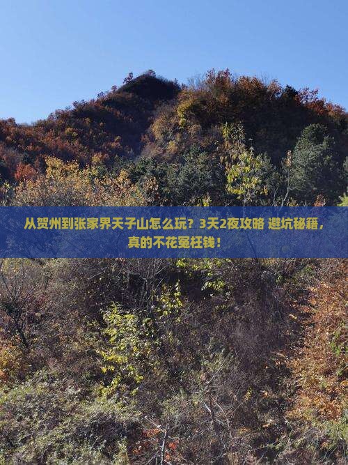 贺州到张家界天子山旅游