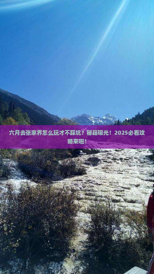 六月去张家界森林公园哪里玩