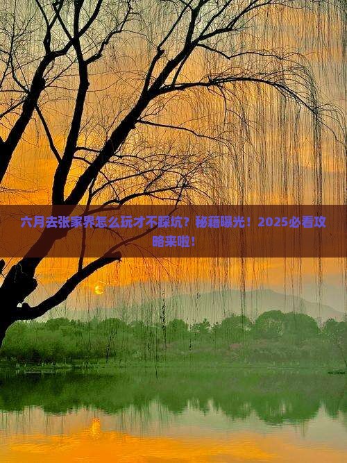 六月去张家界森林公园哪里玩