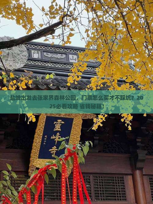 盐城到张家界森林公园门票