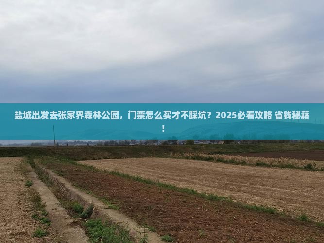 盐城到张家界森林公园门票