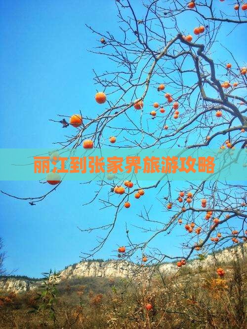 丽江到张家界旅游