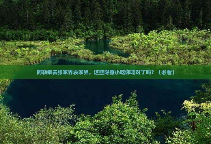 阿勒泰去张家界袁家界旅游小吃