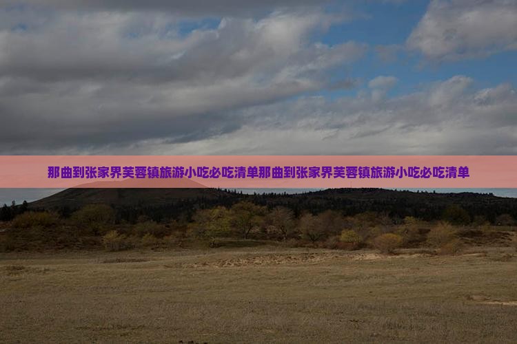 那曲到张家界芙蓉镇旅游小吃