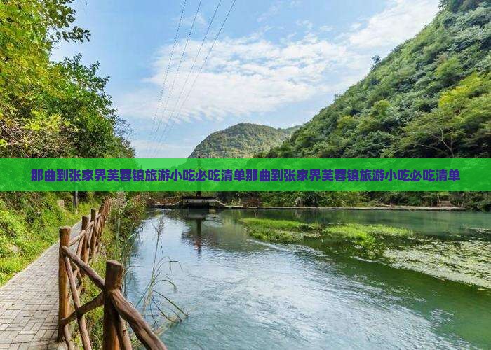 那曲到张家界芙蓉镇旅游小吃