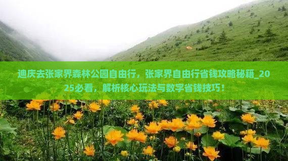 迪庆去张家界森林公园自由行