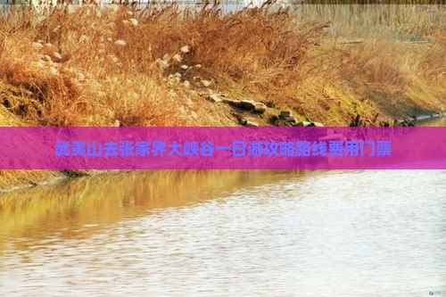 武夷山去张家界大峡谷一日