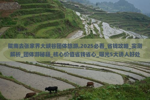 陇南去张家界大峡谷团体旅游 陇南去张家界大峡谷团体旅游