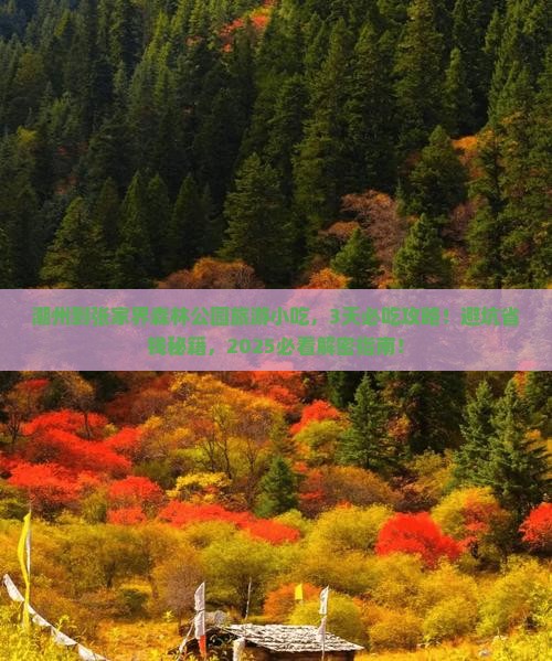 潮州到张家界森林公园旅游小吃