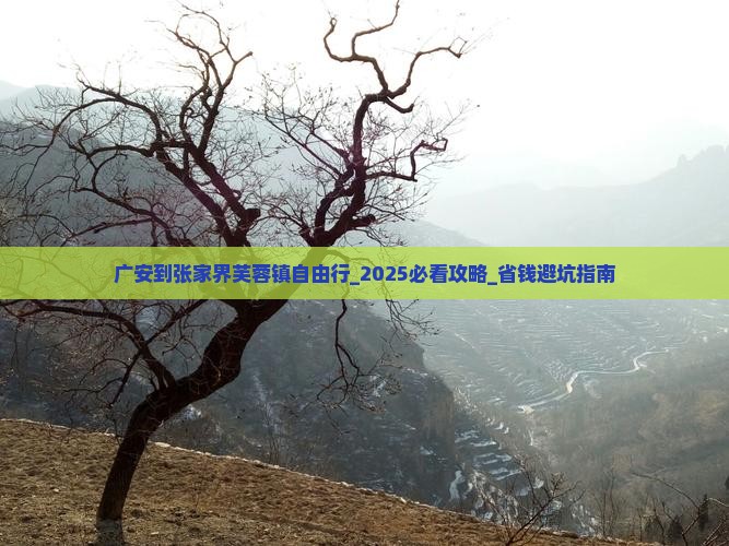 广安到张家界芙蓉镇自由行