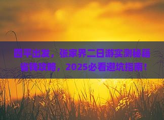 四平去张家界二日游