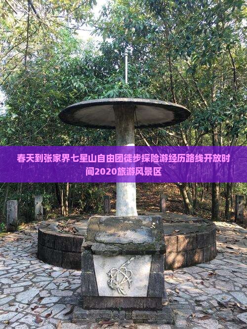 春天到张家界七星山自由团