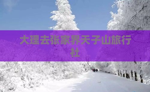 大理去张家界天子山旅行社