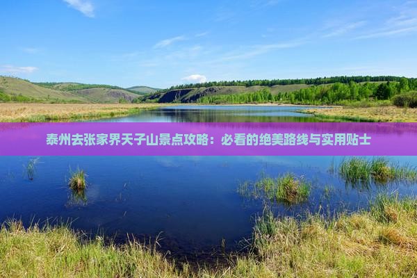 泰州去张家界天子山景点