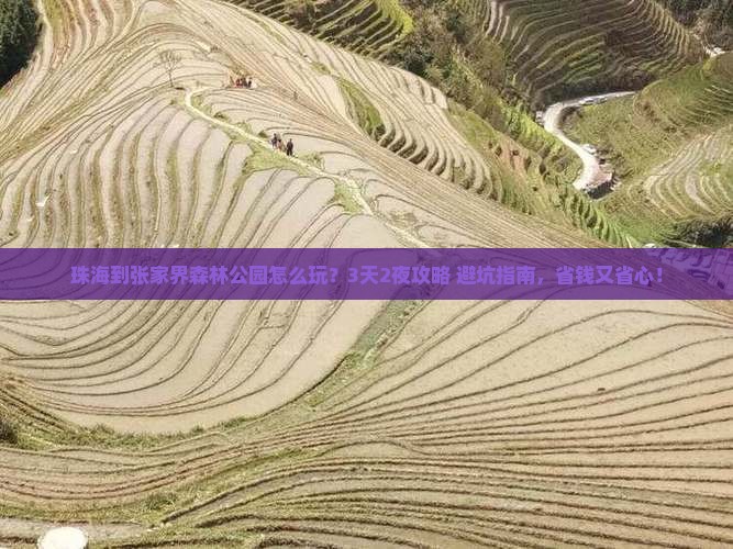 珠海到张家界森林公园旅行社