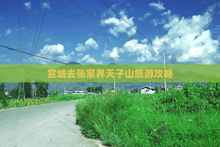 宣城去张家界天子山攻略