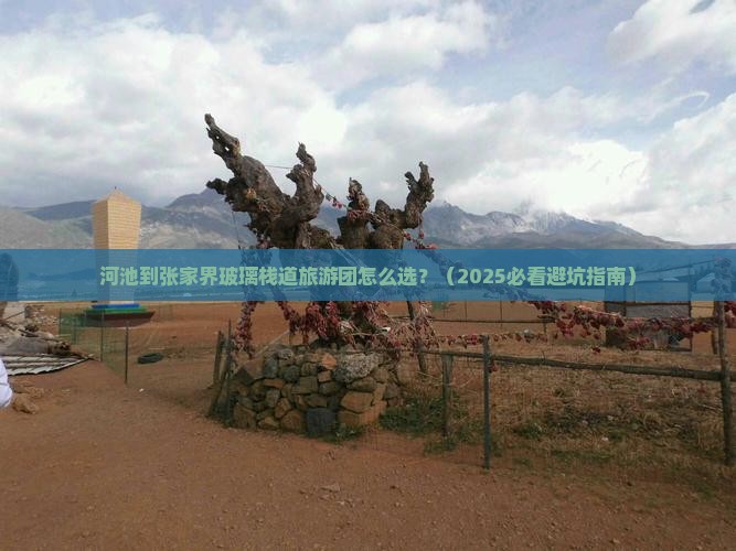 河池到张家界玻璃栈道大型旅游团