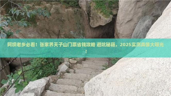 阿坝去张家界天子山门票