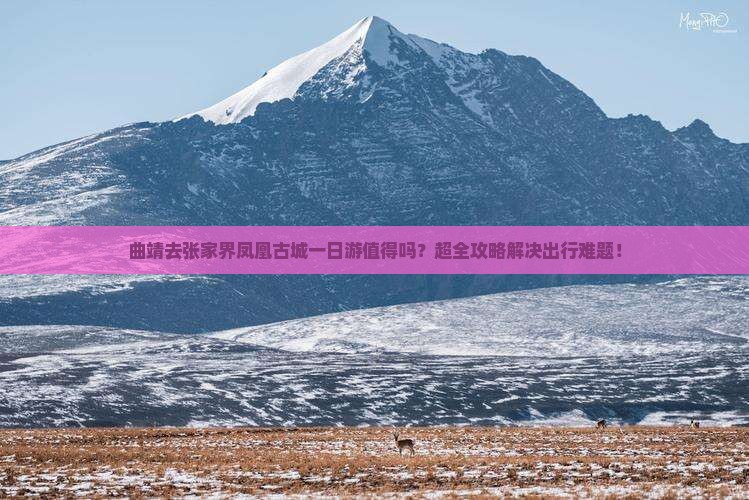 曲靖去张家界凤凰古城一日