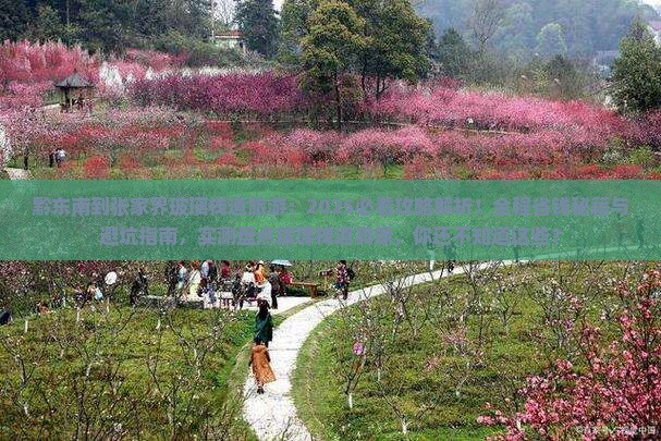 黔东南到张家界玻璃栈道旅游