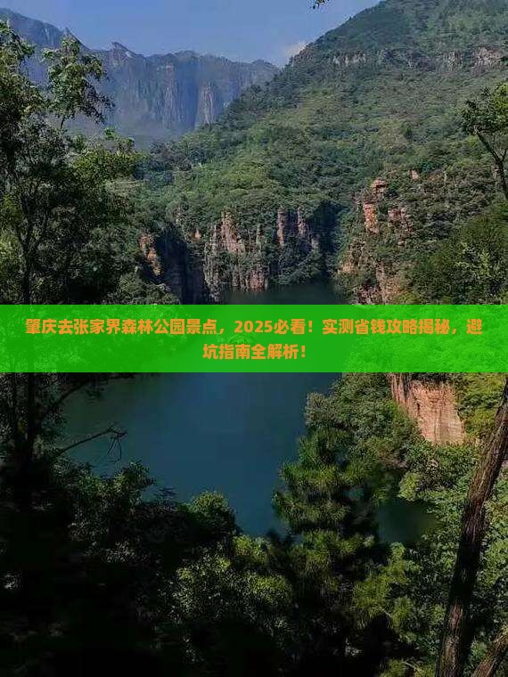 肇庆去张家界森林公园景点