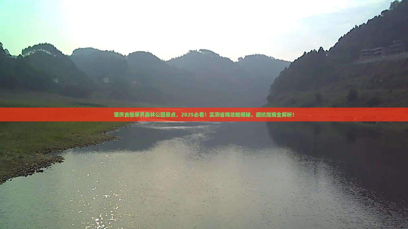 肇庆去张家界森林公园景点