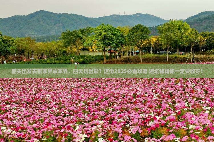 韶关去张家界袁家界四日游