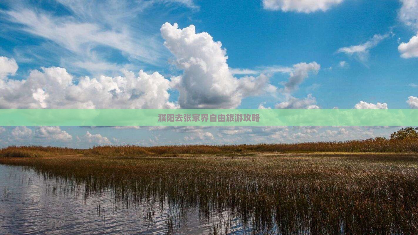 濮阳去张家界自由团