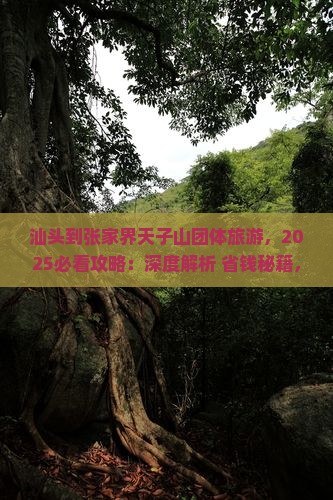 汕头到张家界天子山团体旅游