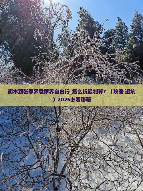 衡水到张家界袁家界自由行