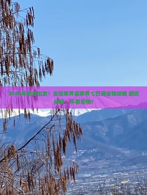 芜湖去张家界袁家界七日游