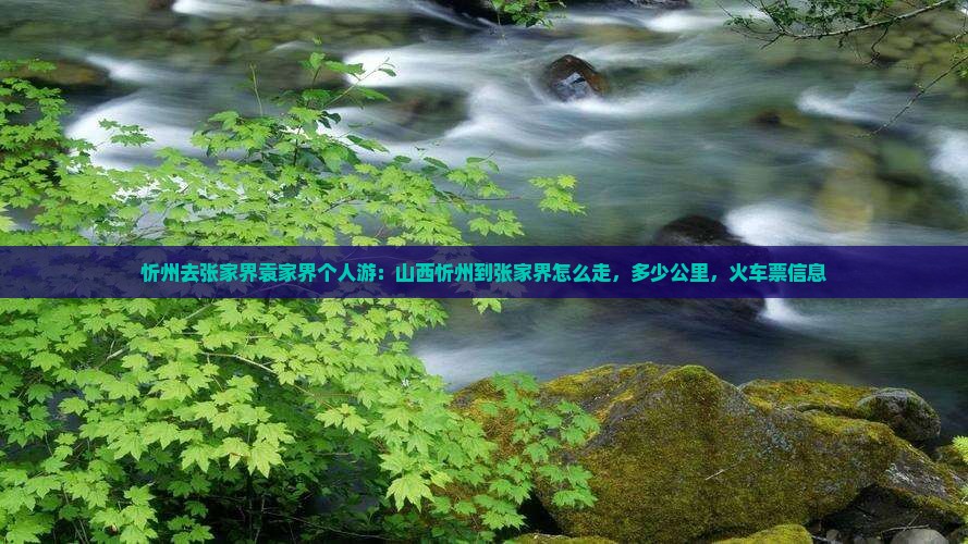 忻州去张家界袁家界个人游