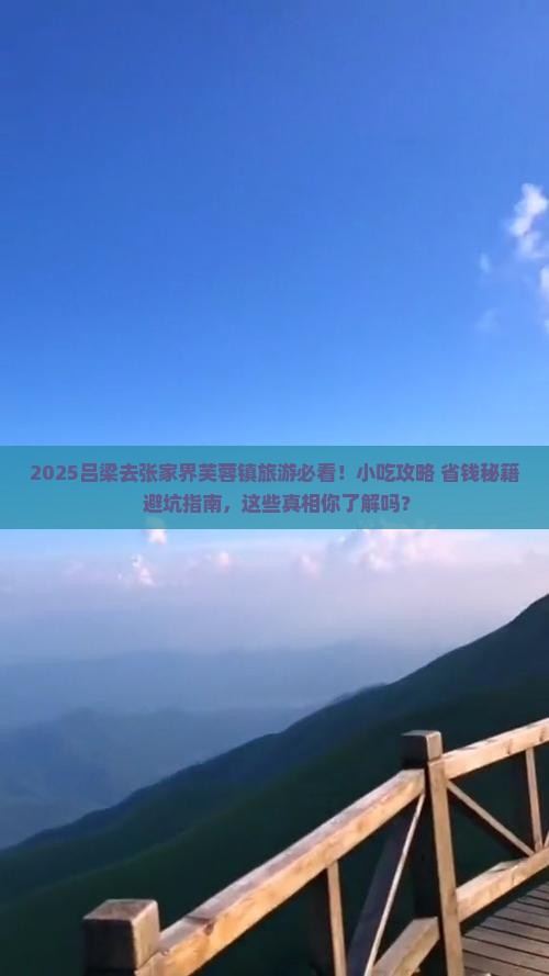 吕梁去张家界芙蓉镇旅游小吃