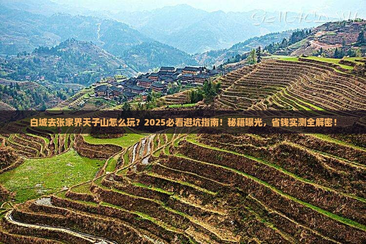 白城去张家界天子山攻略