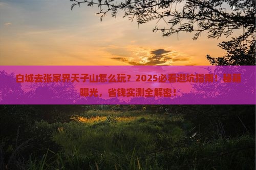 白城去张家界天子山攻略