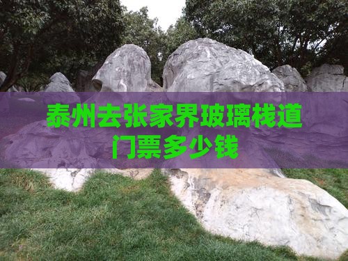 泰州去张家界玻璃栈道门票