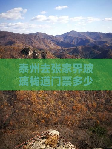 泰州去张家界玻璃栈道门票