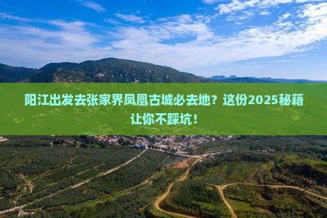 阳江去张家界凤凰古城必去地