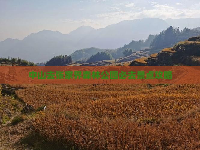 中山去张家界森林公园必去地