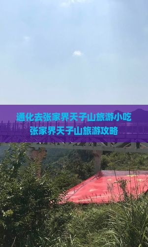 通化去张家界天子山旅游小吃 通化去张家界天子山旅游小吃