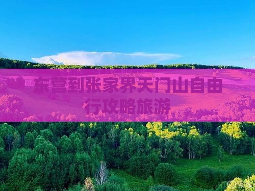 东营到张家界天门山自由行