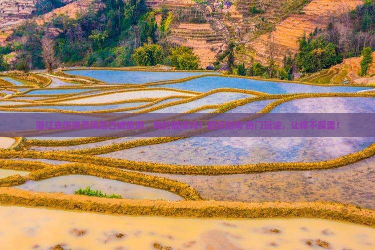 湛江去张家界凤凰古城旅游